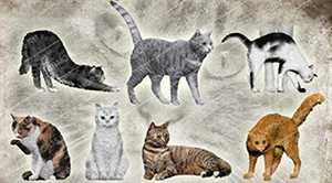 Unpainted Komplekts 1/35 mūsdienu kaķi ietver 7 Sveķu Attēls miniatūras garāžas komplekts