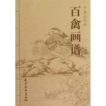 Ķīniešu Glezniecības Simts Louts Līniju Zīmējumu Kolekcija Mākslas Grāmatu Pieaugušo Atpūta Anti-Stresa Copybook Literārā Skice Mācību Grāmata